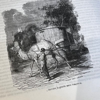 The Jardin des Plantes - By Boitard - Antique illustred book - 1851