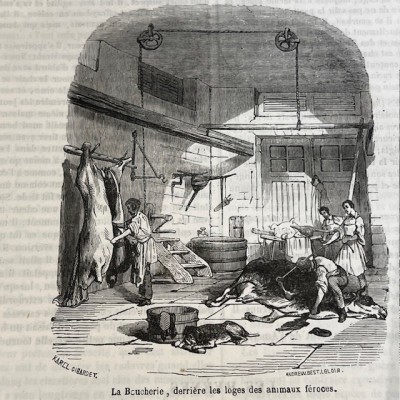 Le Jardin des Plantes - Par Boitard - Livre illustré ancien - 1851