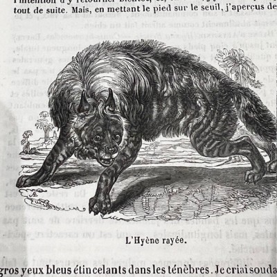 Le Jardin des Plantes - Par Boitard - Livre illustré ancien - 1851