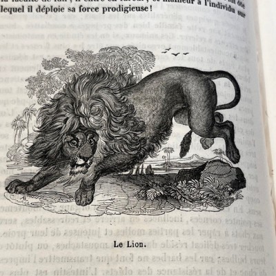 The Jardin des Plantes - By Boitard - Antique illustred book - 1851