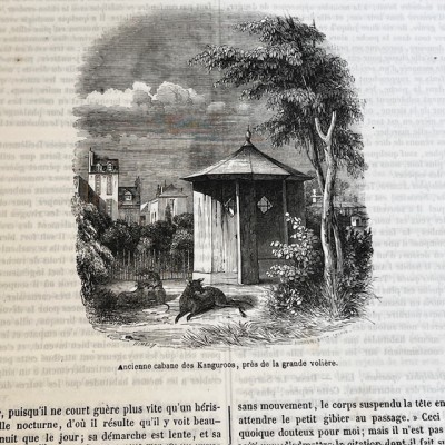 Le Jardin des Plantes - Par Boitard - Livre illustré ancien - 1851