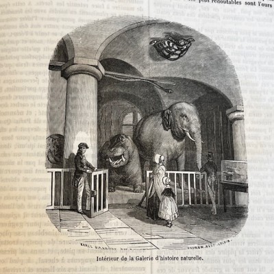 Le Jardin des Plantes - Par Boitard - Livre illustré ancien - 1851