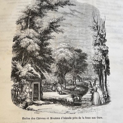 Le Jardin des Plantes - Par Boitard - Livre illustré ancien - 1851