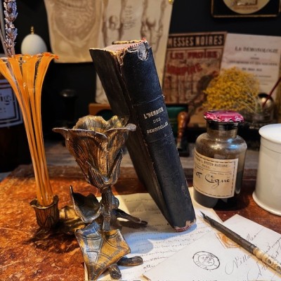 L’Herbier des Demoiselles – Botanique - Ouvrage illustré Romantique