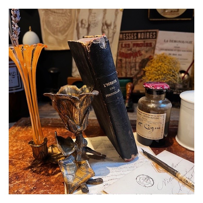 L’Herbier des Demoiselles (1857) – Botany - Illustrated book