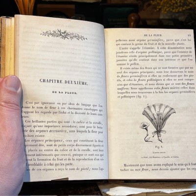 L’Herbier des Demoiselles (1857) – Botany - Illustrated book