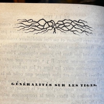 L’Herbier des Demoiselles (1857) – Botany - Illustrated book