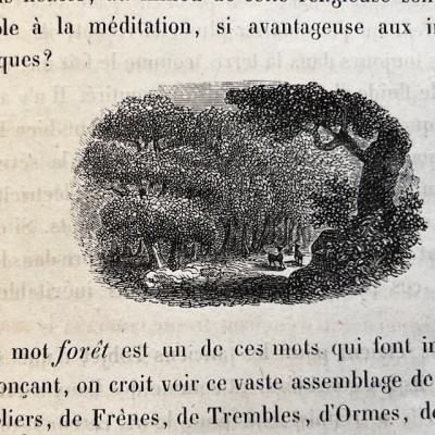 L’Herbier des Demoiselles (1857) – Botany - Illustrated book