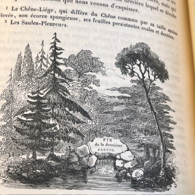 L’Herbier des Demoiselles (1857) – Botany - Illustrated book