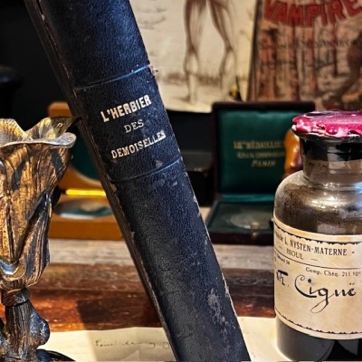 L’Herbier des Demoiselles – Botanique - Ouvrage illustré Romantique