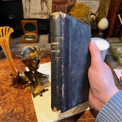 L’Herbier des Demoiselles (1857) – Botany - Illustrated book