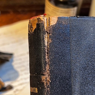 L’Herbier des Demoiselles – Botanique - Ouvrage illustré Romantique