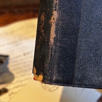 L’Herbier des Demoiselles – Botanique - Ouvrage illustré Romantique