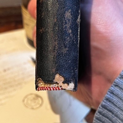 L’Herbier des Demoiselles (1857) – Botany - Illustrated book