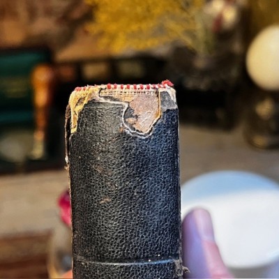 L’Herbier des Demoiselles (1857) – Botany - Illustrated book