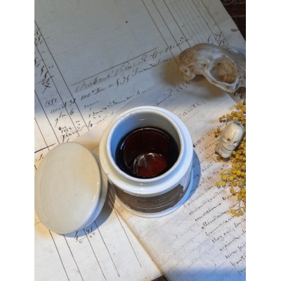Stramoine - Poison - Pot à onguent de pharmacie- Apothicaire - Codex