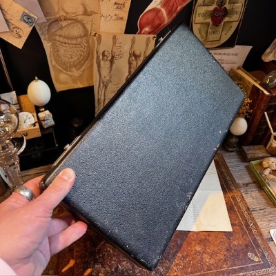 Antique storage box for glass eyes in blue felt - 50 compartments