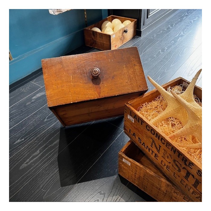 Antique wooden pharmacy drawer with compartments - 4 compartments
