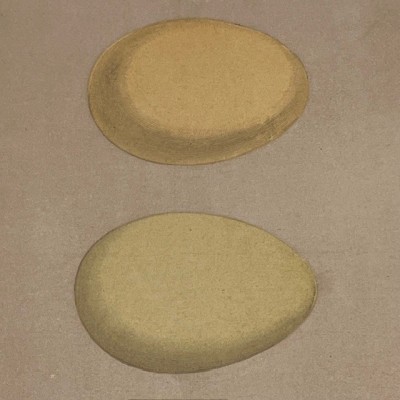 Plate - 19th century colour engraving- Birds Eggs - Ornithology-Morris