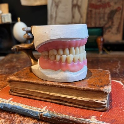 Bronze dental articulator (circa 1920) - Dental instrument - Dentistry