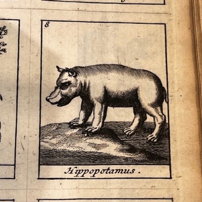 Traité Universel des Drogues Simples - By Lemery -Antique book of 1727