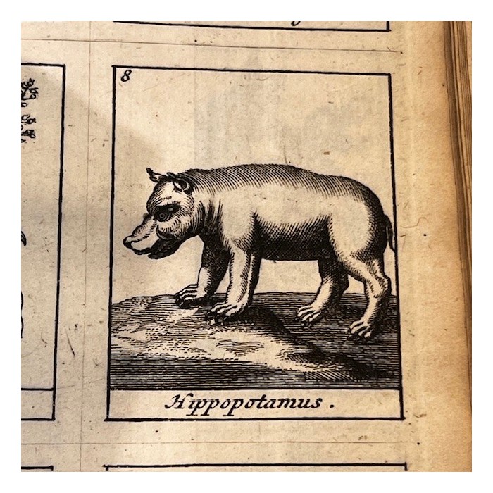 Dictionnaire Universel des Drogues Simples - Lemery - Pharmacopée 1727