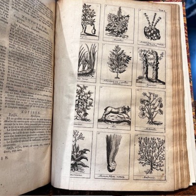 Dictionnaire Universel des Drogues Simples - Lemery - Pharmacopée 1727