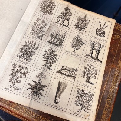 Traité Universel des Drogues Simples - By Lemery -Antique book of 1727