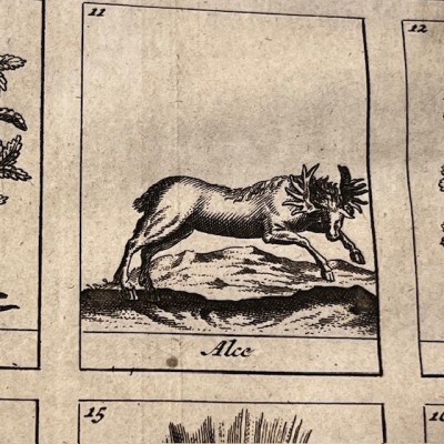 Dictionnaire Universel des Drogues Simples - Lemery - Pharmacopée 1727