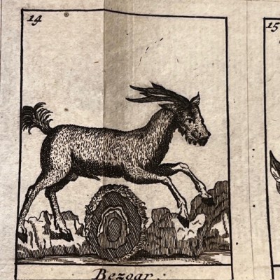 Dictionnaire Universel des Drogues Simples - Lemery - Pharmacopée 1727