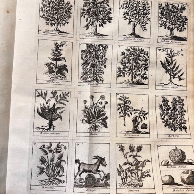 Dictionnaire Universel des Drogues Simples - Lemery - Pharmacopée 1727