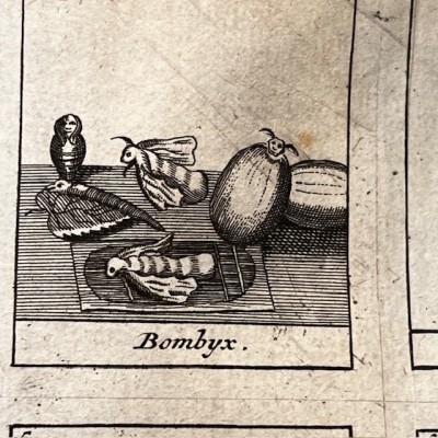 Traité Universel des Drogues Simples - By Lemery -Antique book of 1727