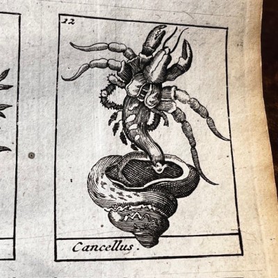 Dictionnaire Universel des Drogues Simples - Lemery - Pharmacopée 1727