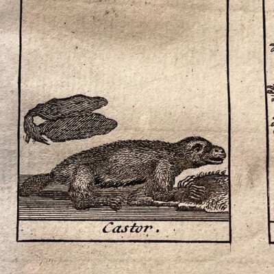 Dictionnaire Universel des Drogues Simples - Lemery - Pharmacopée 1727