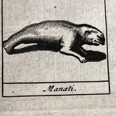 Dictionnaire Universel des Drogues Simples - Lemery - Pharmacopée 1727