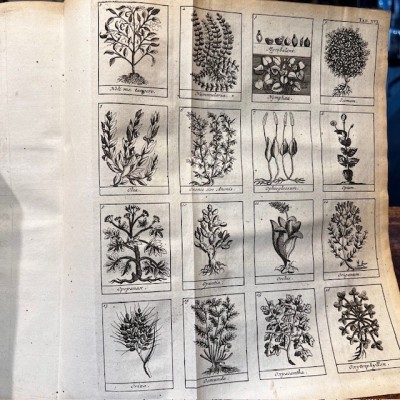 Dictionnaire Universel des Drogues Simples - Lemery - Pharmacopée 1727