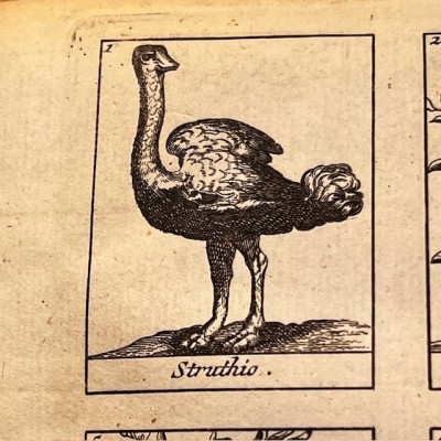 Dictionnaire Universel des Drogues Simples - Lemery - Pharmacopée 1727