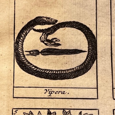 Traité Universel des Drogues Simples - By Lemery -Antique book of 1727