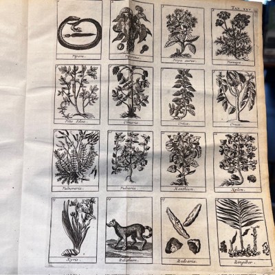 Traité Universel des Drogues Simples - By Lemery -Antique book of 1727