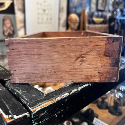 The Pharmacist's Drawer - Small antique wooden pharmacy drawer