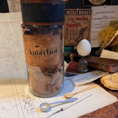 Amadou - Tinder fungus - Vintage pharmacy bottle - Apothecary
