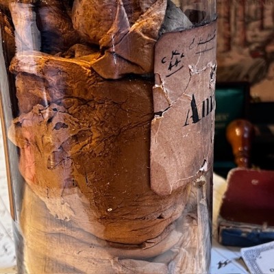 Amadou - Tinder fungus - Vintage pharmacy bottle - Apothecary