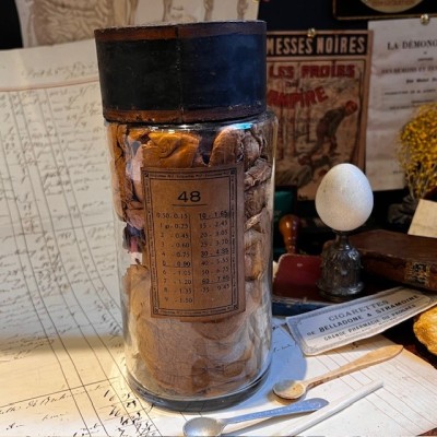 Amadou - Tinder fungus - Vintage pharmacy bottle - Apothecary