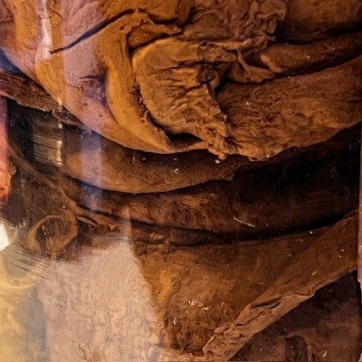 Amadou - Tinder fungus - Vintage pharmacy bottle - Apothecary