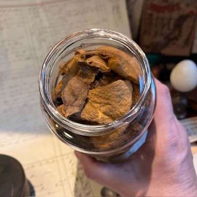 Amadou - Tinder fungus - Vintage pharmacy bottle - Apothecary