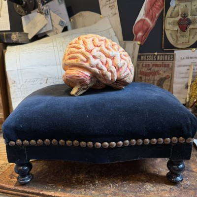 Brain - Anatomical model by Dr Auzoux - Papier-mâché model - 1874