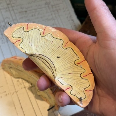 Brain - Anatomical model by Dr Auzoux - Papier-mâché model - 1874