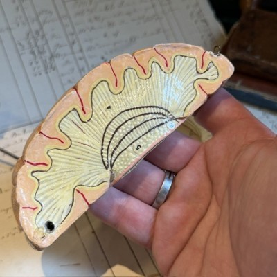 Dr Auzoux - Modèle anatomique du cerveau - Papier-mâché - 1874