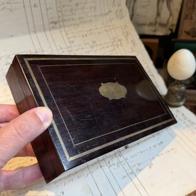 Napoleon III compartmentalised box in rosewood veneer