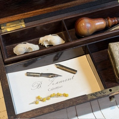 Napoleon III compartmentalised box in rosewood veneer